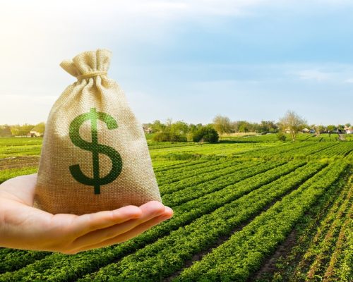 Como Investir no Agronegócio pela Bolsa de Valores