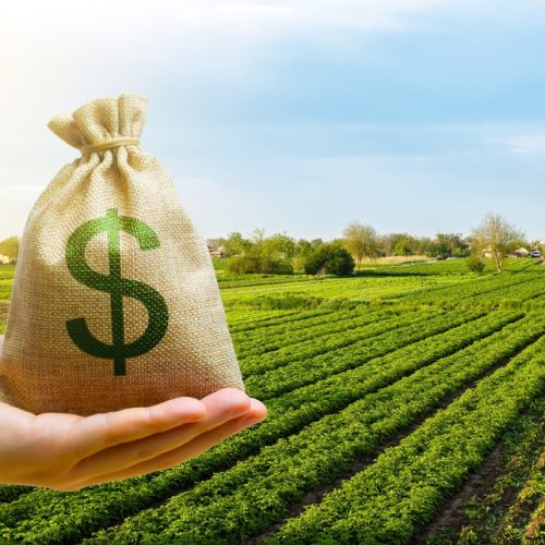 Como Investir no Agronegócio pela Bolsa de Valores