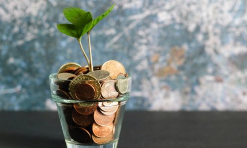 Começando a Investir do Zero: Aprenda a Fazer seu Dinheiro Crescer!
